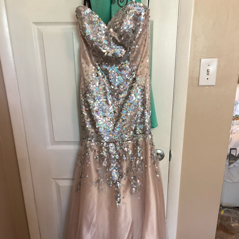 Beige with silver sequins Gown - Picture 1 of 6